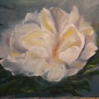 Введите ключевые слова для поискового продвижения